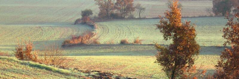 L'Espitllera Fòrum d’Estudis Segarrencs (EFES) banner