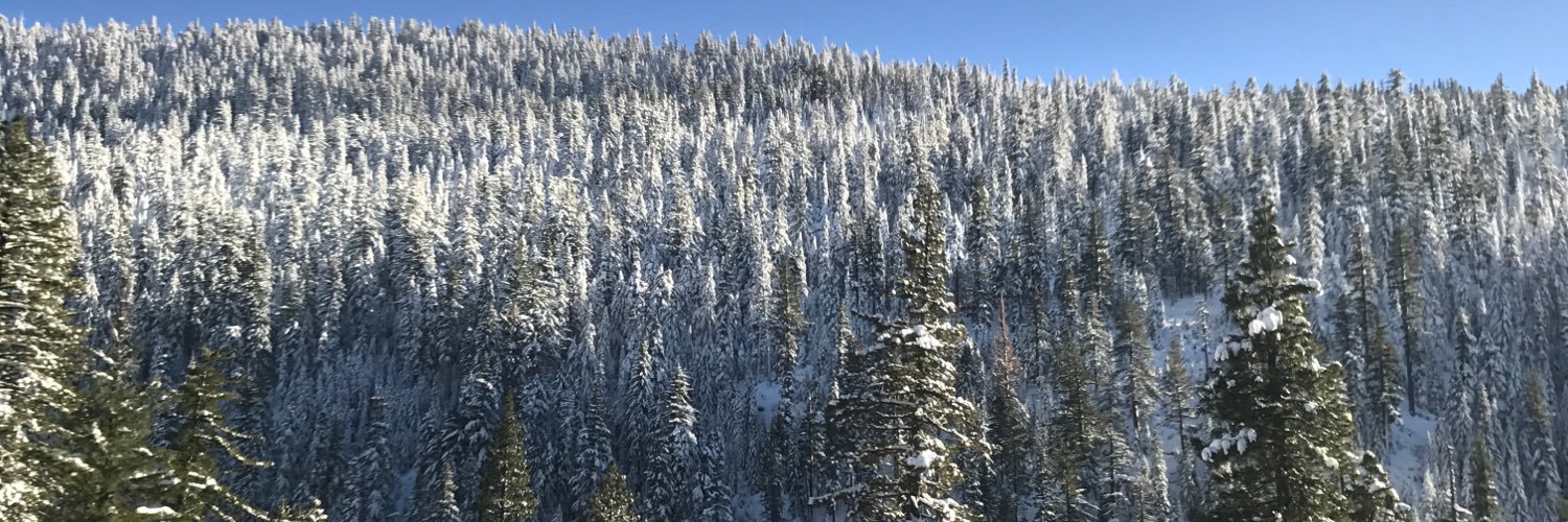 cessar831's profile banner image
