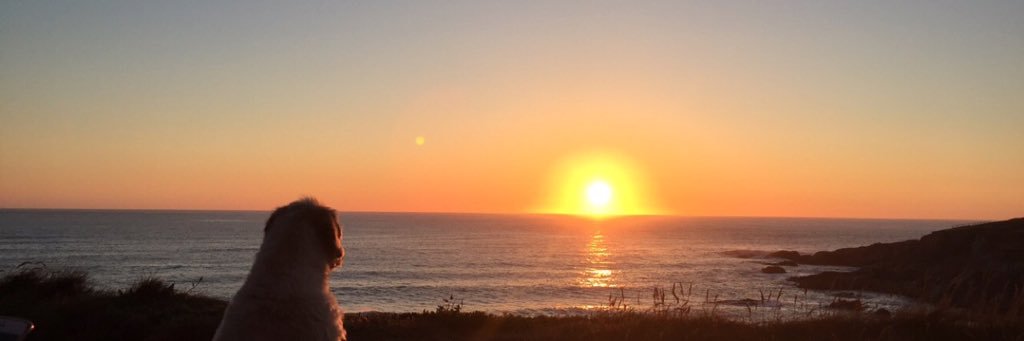 🧚‍♀️ Gail 🧚‍♀️ banner