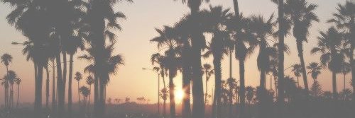 bobbiebxtchh's profile banner image