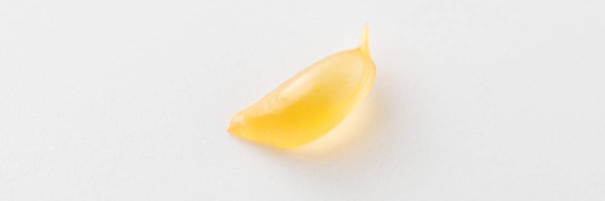 kanpeii's profile banner image