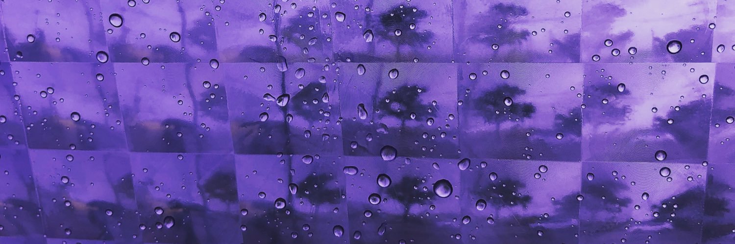 Shanti Lalita banner