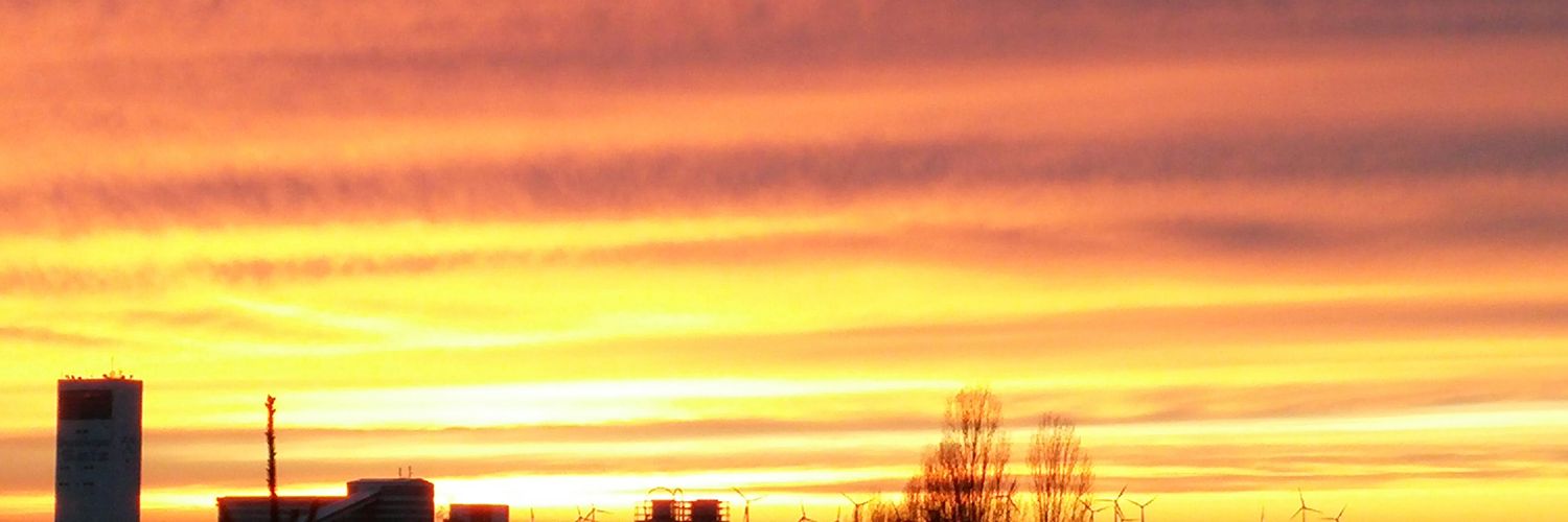 baumgnu806's profile banner image