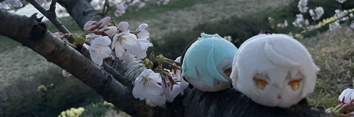 gommmakt's profile banner image