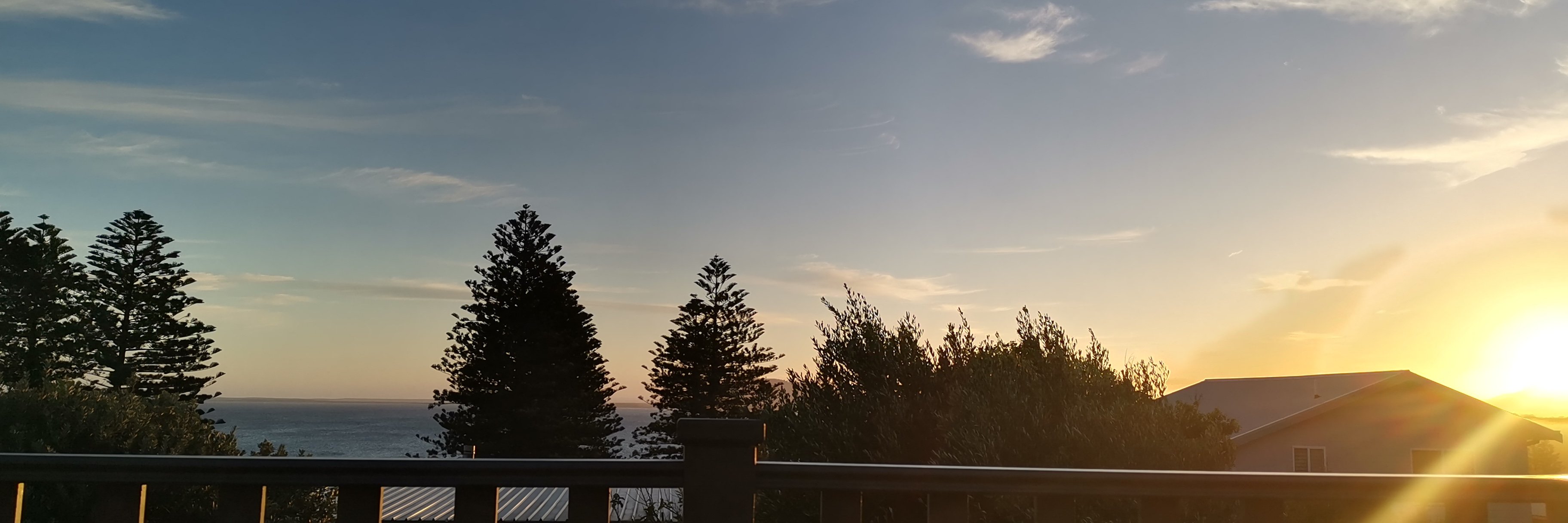 hey_Dingo's profile banner image