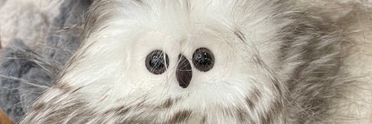ckwprice4's profile banner image