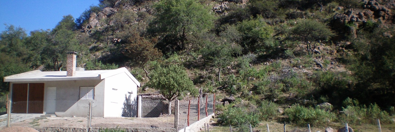 alfonso del 41% y más 💙💙 banner