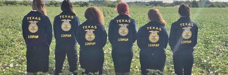 Lehmanffa's profile banner image