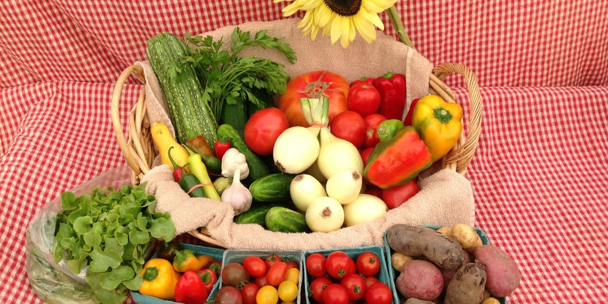 EverGreenCSA's profile banner image