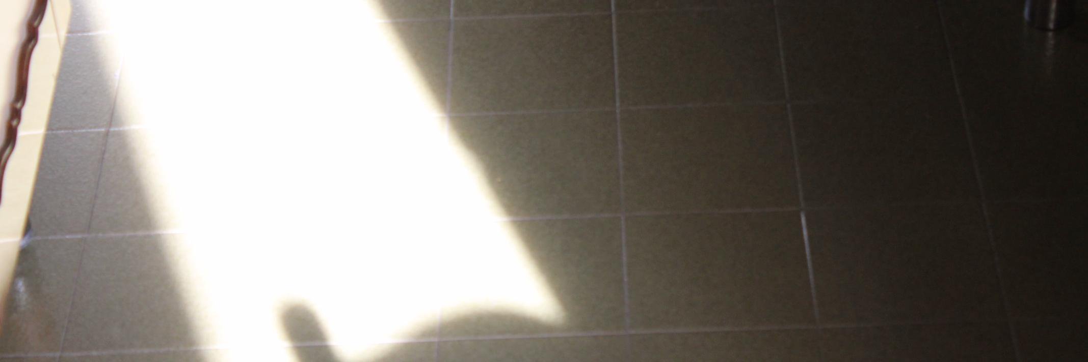 maxbedet's profile banner image