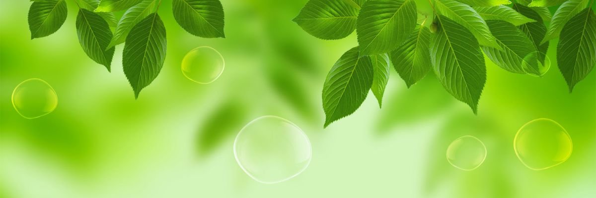 PANDY STOCKINGER banner