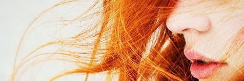 ClawingMemory's profile banner image