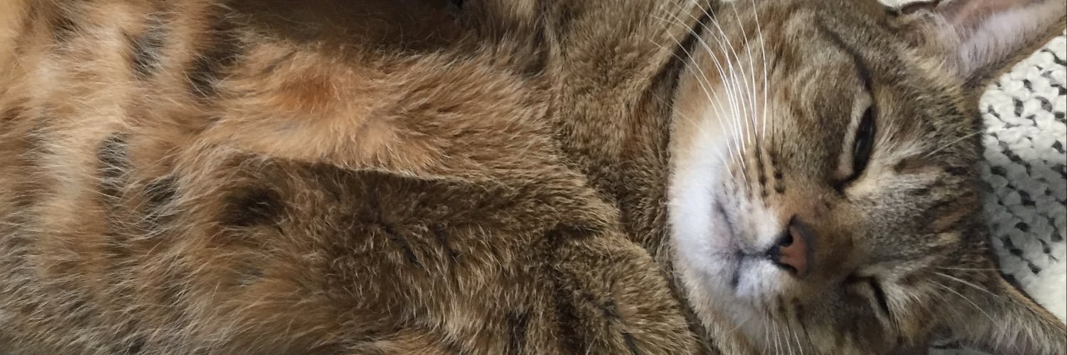yo3shi3's profile banner image