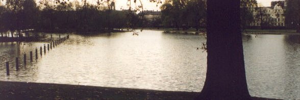 StanDaymond's profile banner image