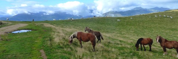 YvesCambus Profile Banner