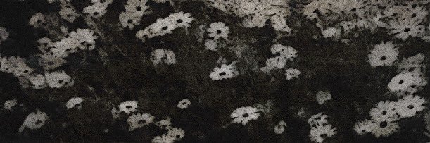 melo banner