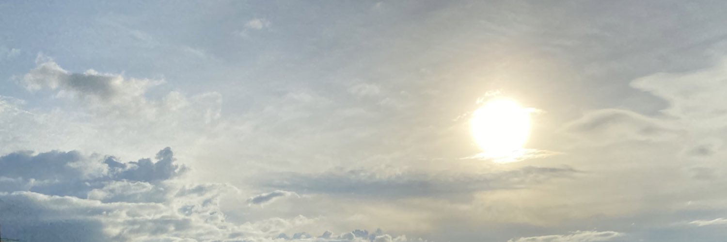 brizendejas_'s profile banner image