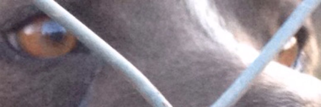 MasonElam04's profile banner image