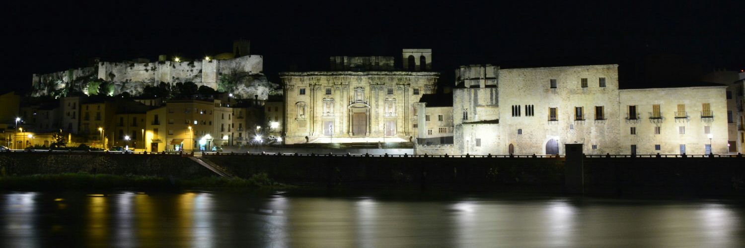 Ajuntament de Tortosa banner