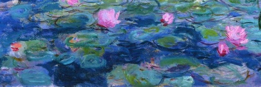 Dani ツ ⚜️ banner