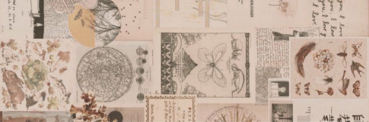 cuya banner