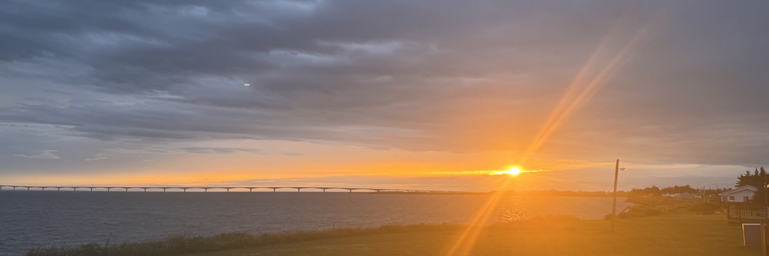 Mary-Kate Bridson banner