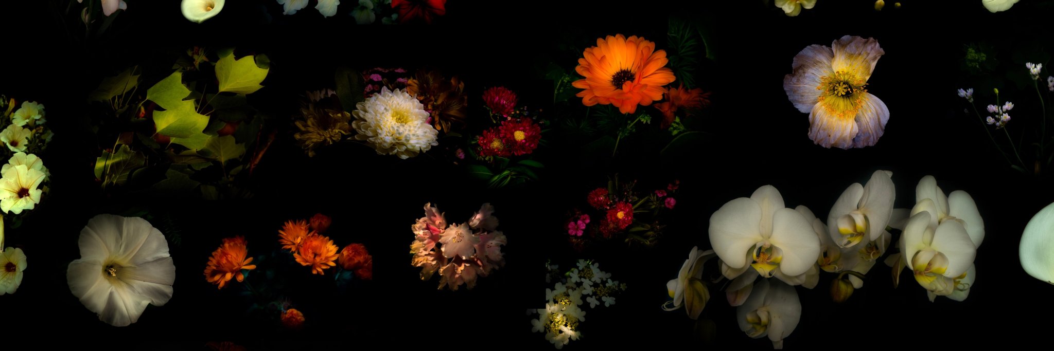 Erisvisual's profile banner image