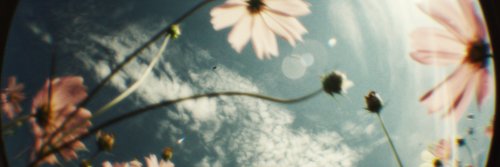 pfvrqueiroga's profile banner image