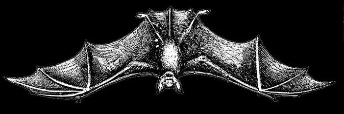 AlexSelvmord's profile banner image