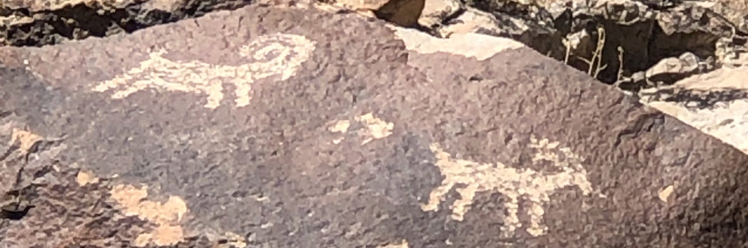 Vesna.Palestine Will Be Free banner