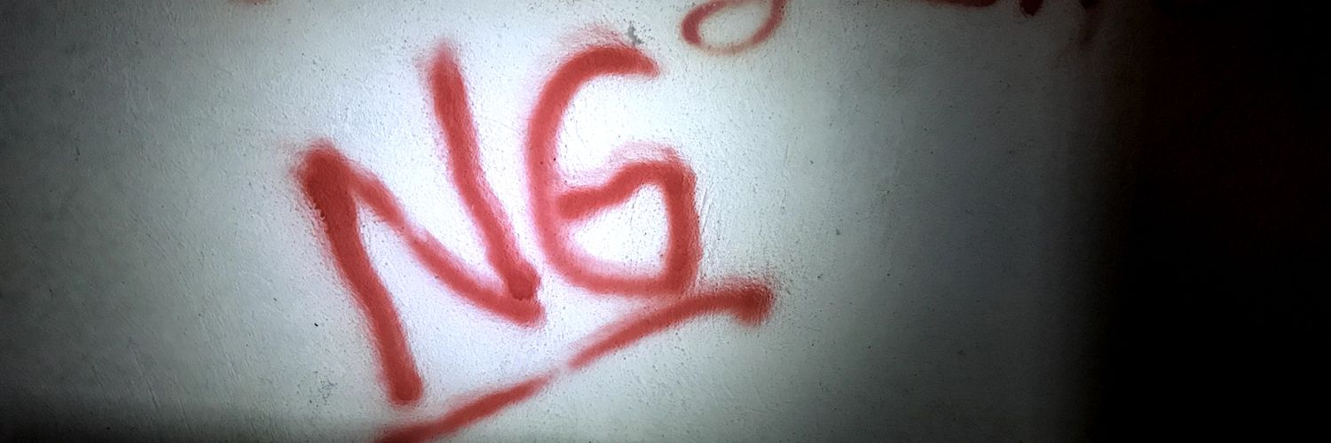 GuneyNagihan's profile banner image