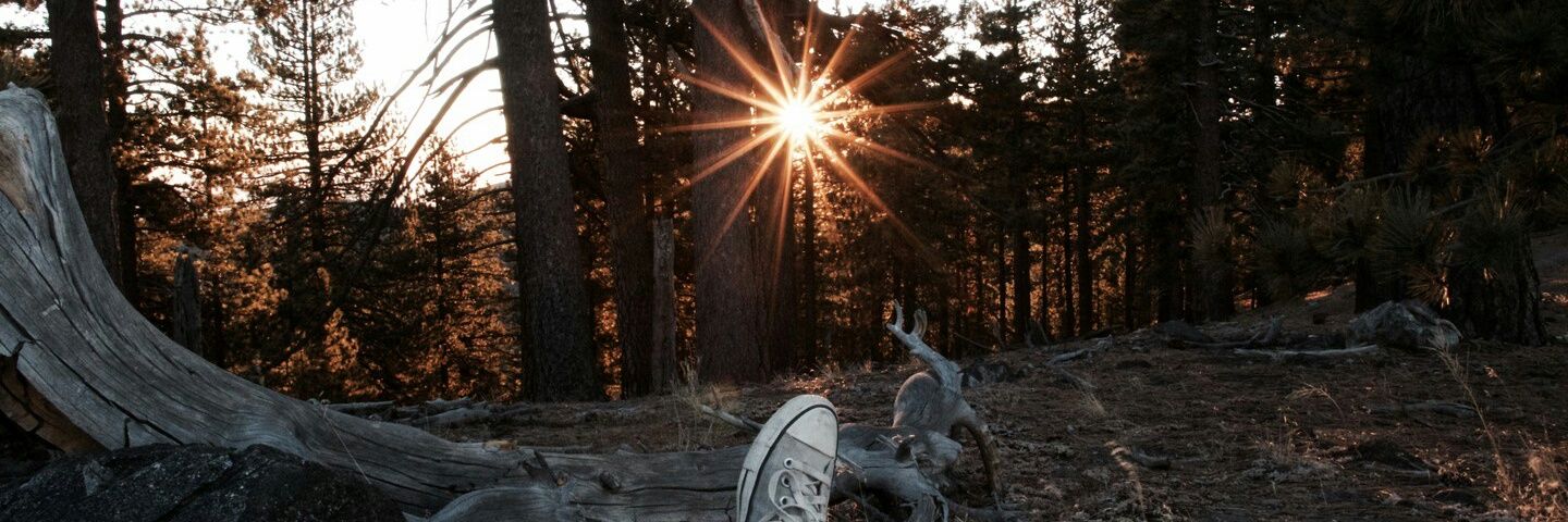 THE CASH WHISPERER 🇿🇦🇬🇧 banner