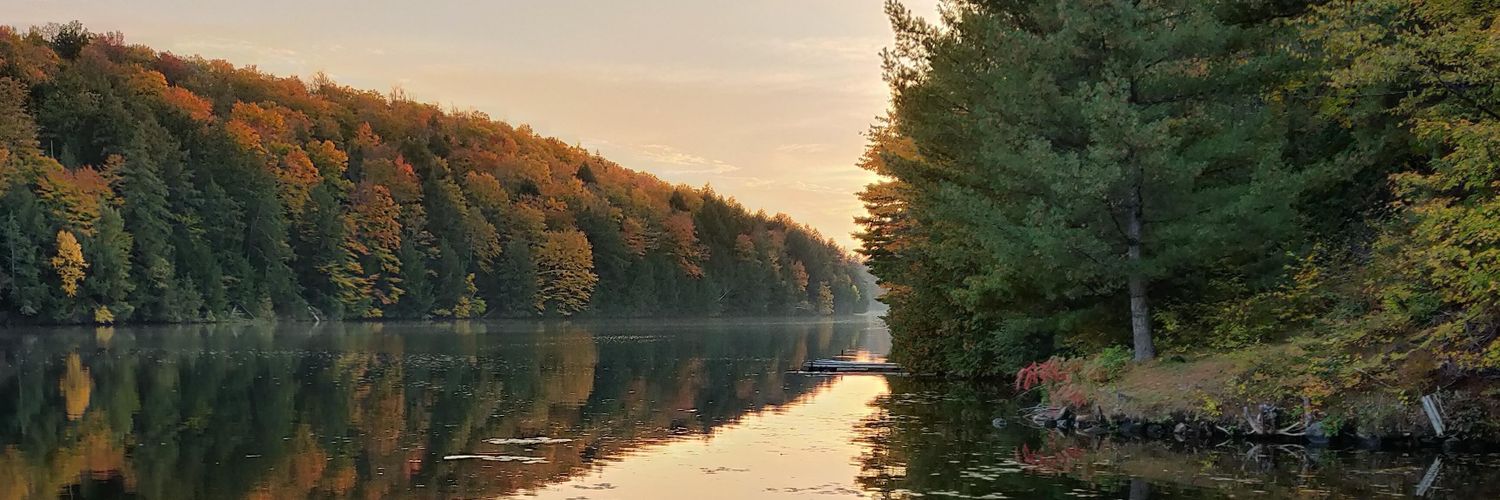wavetrain's profile banner image