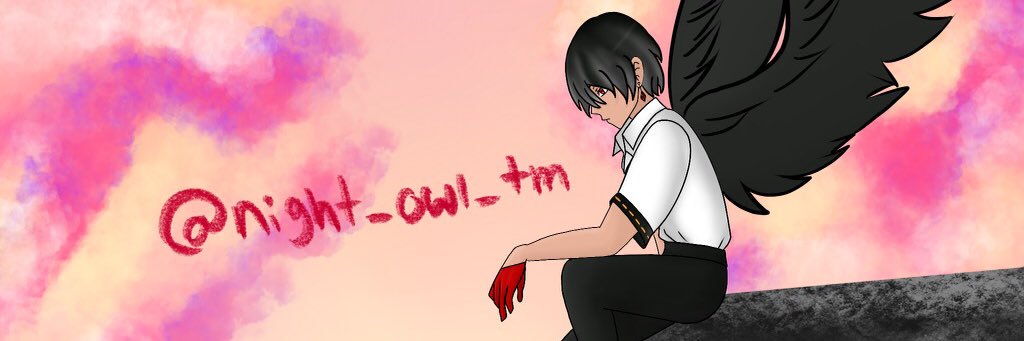 night_owl_tm's profile banner image