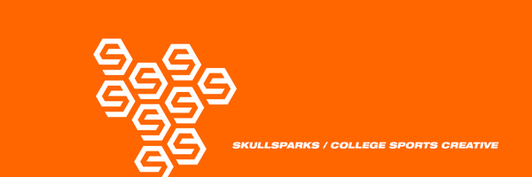 SkullSparks Profile Banner