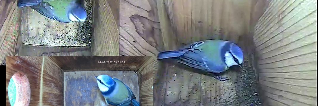 michaelhowland1 banner