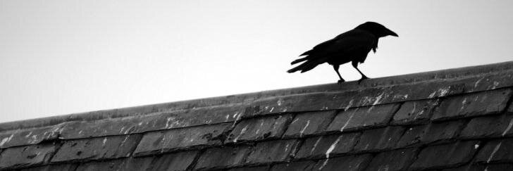 Pablo Porras 🇵🇸🇨🇷🇺🇦 banner