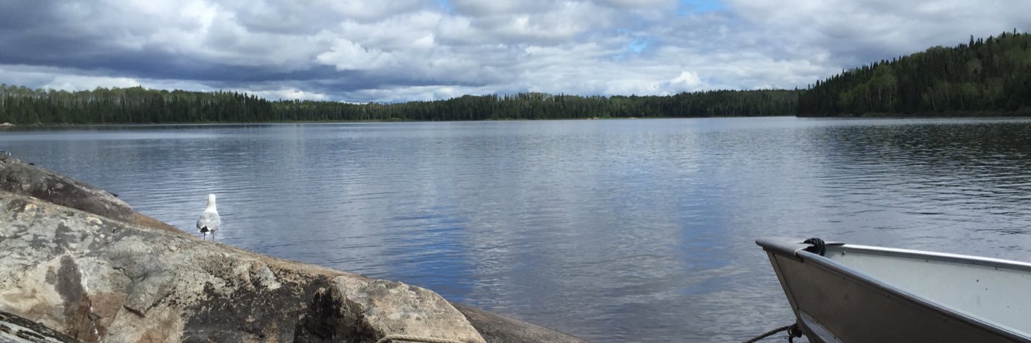 jflehn's profile banner image
