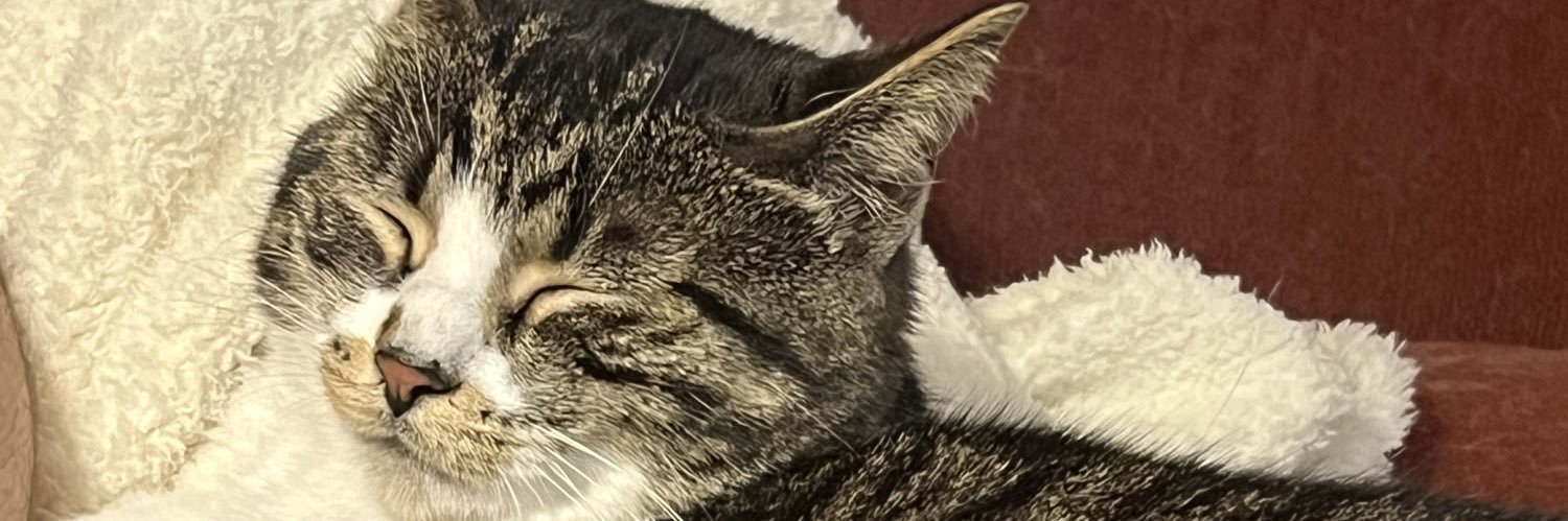 SeanWerling's profile banner image
