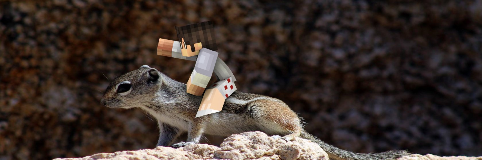 HerrHamschter's profile banner image