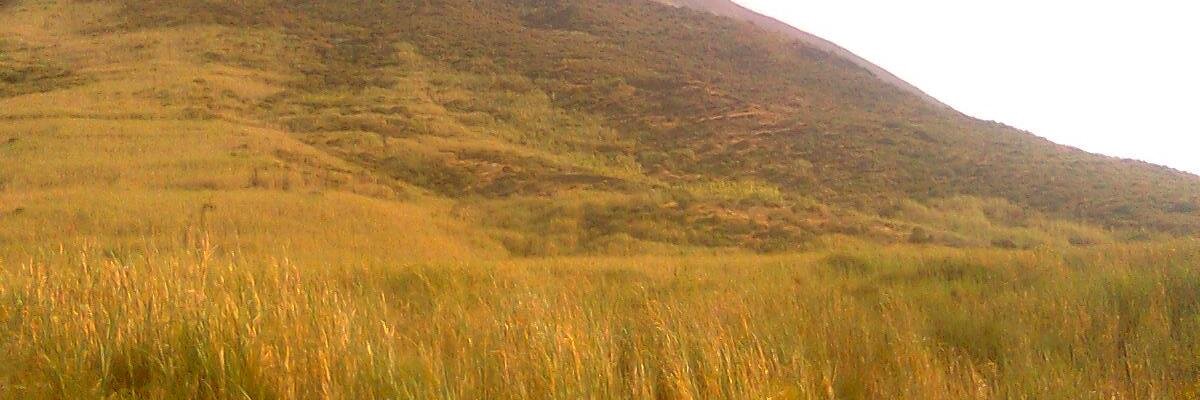 Fausto Panunzi banner