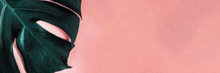 demafpsiuinbdg's profile banner image