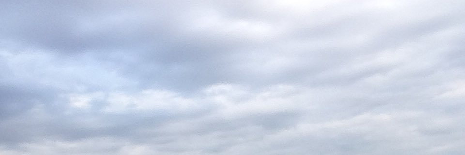 Scott Scholl banner