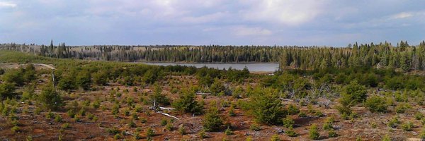 TNO_TV Profile Banner