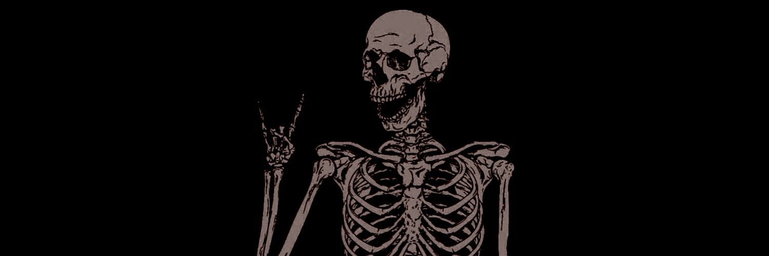 plvtoctrl's profile banner image