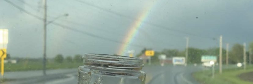 Goupysauce's profile banner image