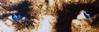 abdulceleb's profile banner image