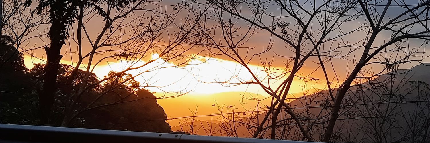 SunnySebastian3's profile banner image