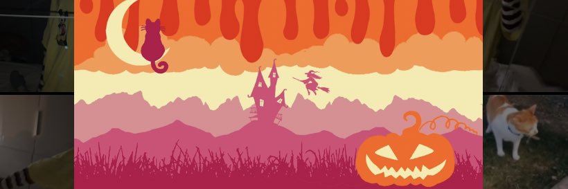 NILTIACCAITLIN's profile banner image