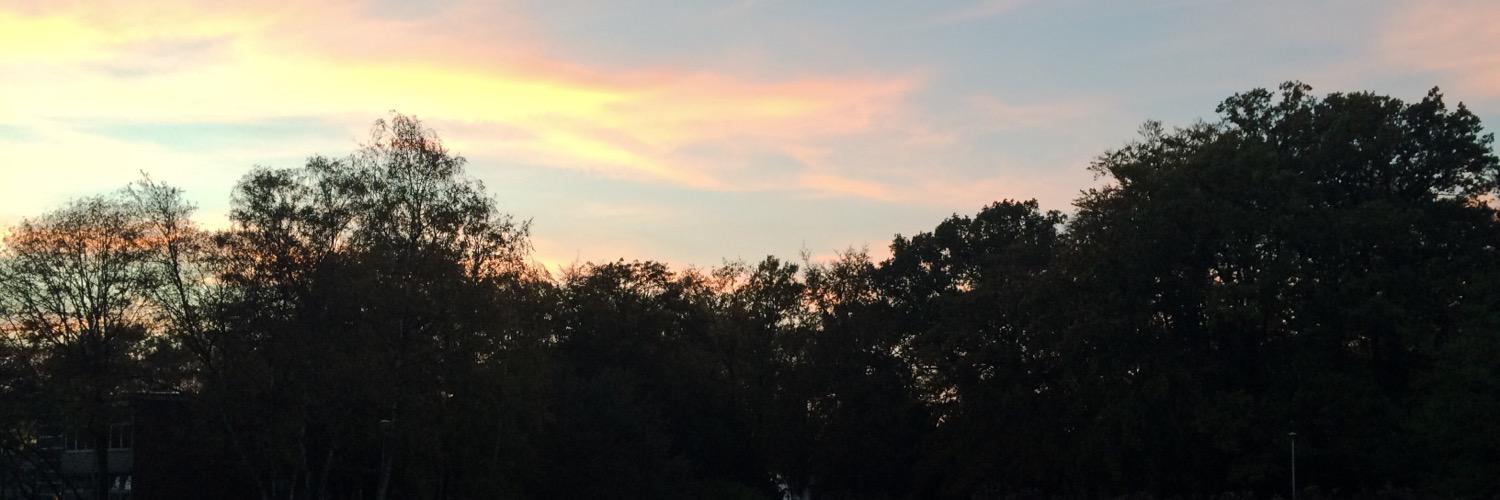 TearsInHell81's profile banner image